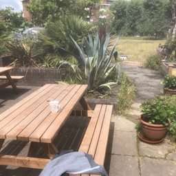 A pic-nic table on a sunny day on a patio in front of a large cactus, raised plant beds and a large grassy garden behind. A grey Mark Zuckerberg style hoodie rests on the bench in the corner of shot. A colourfu, inviting mug of tea sits on the table.