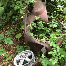 Rusted old moped overgrown in a woodland