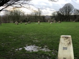 a circle of stones in a park