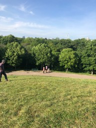 Blue sky, forest, a family at the edge of the forest, then a grassy hill up to foreground.