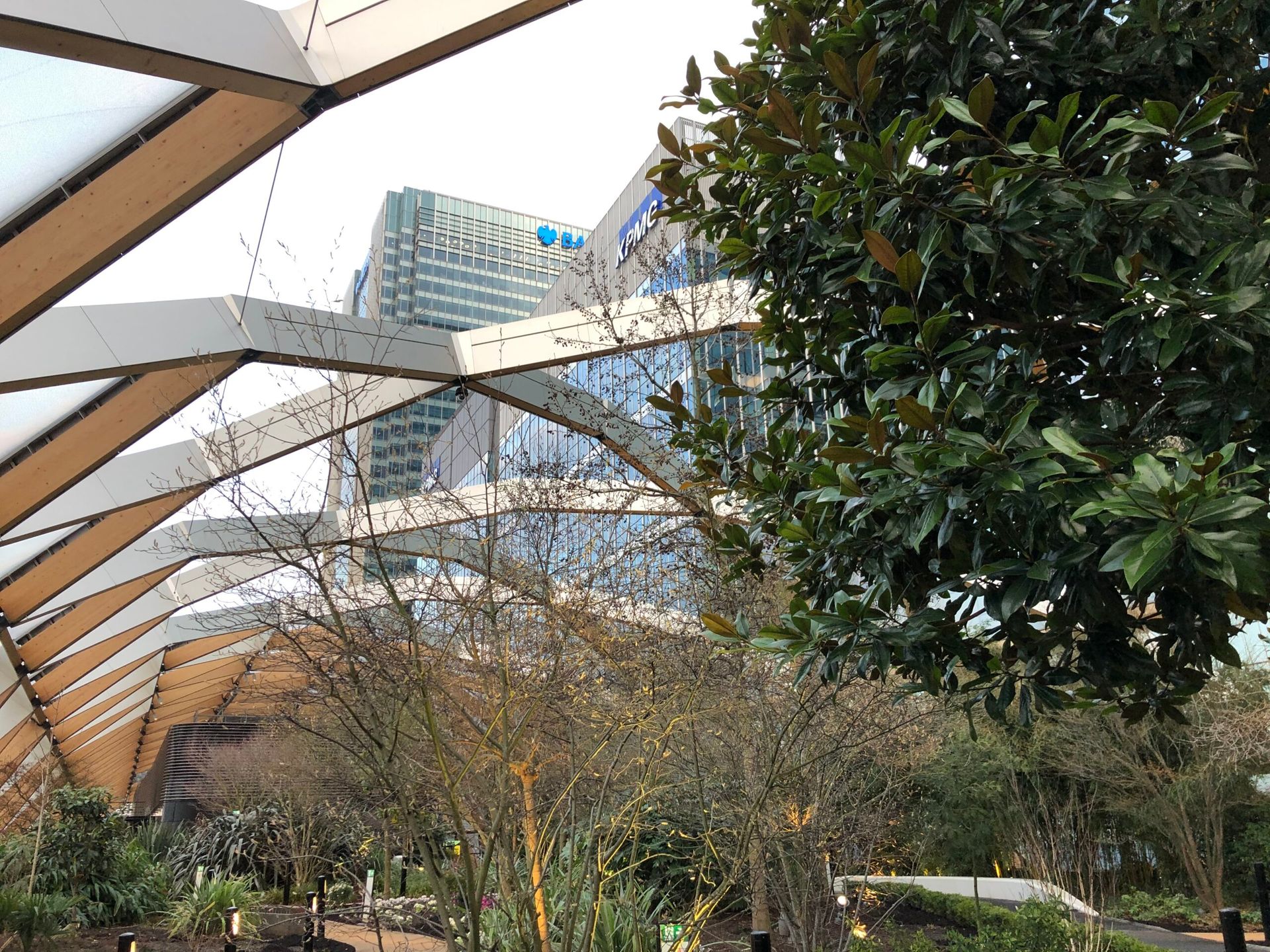 Sky with criss cross dome beams holding up glass. Trees are inside, skyscrapers outside.